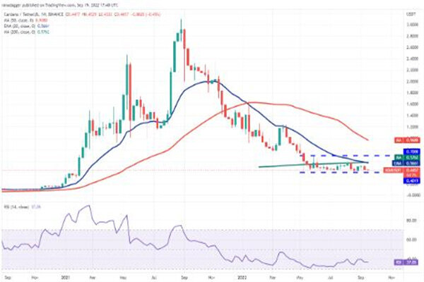 ADA今日行情价格 艾达币行情趋势图-第3张图片-芝麻交易所下载